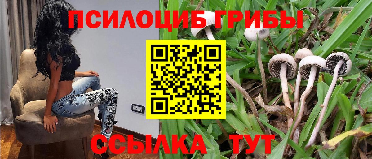 Псилоцибиновые грибы Magic Shrooms  Псилоцибиновые грибы Cubensis  Бахчисарай  Вход с VPN 