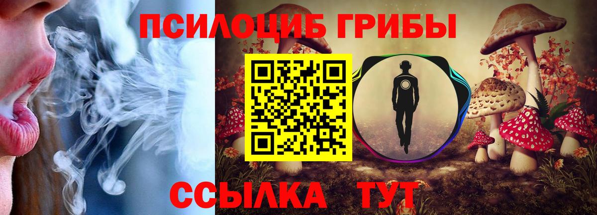 Псилоцибиновые грибы Psilocybe Бахчисарай